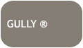 Gully